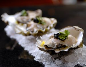 oystrs.jpg
